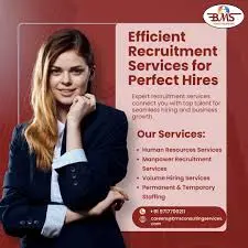 BMS Consulting Services